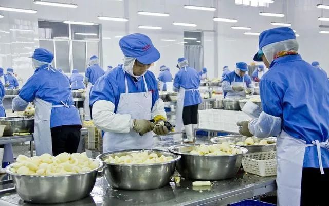 食品廠如何防制蚊蠅？北京滅蠅燈廠家為您支招
