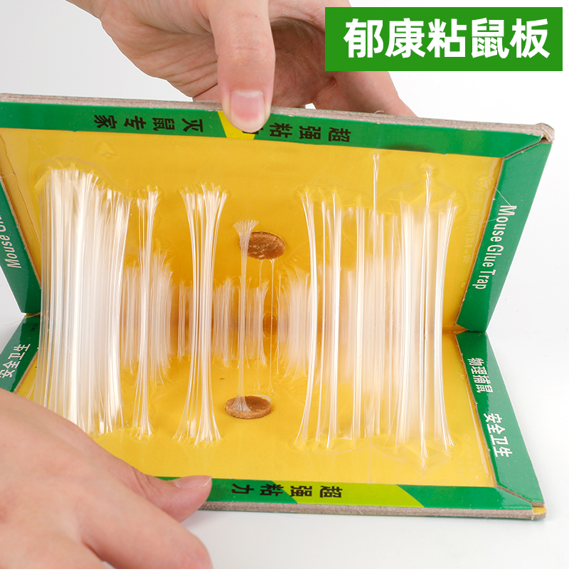 用粘鼠板進行鼠類密度監(jiān)測的方法解讀