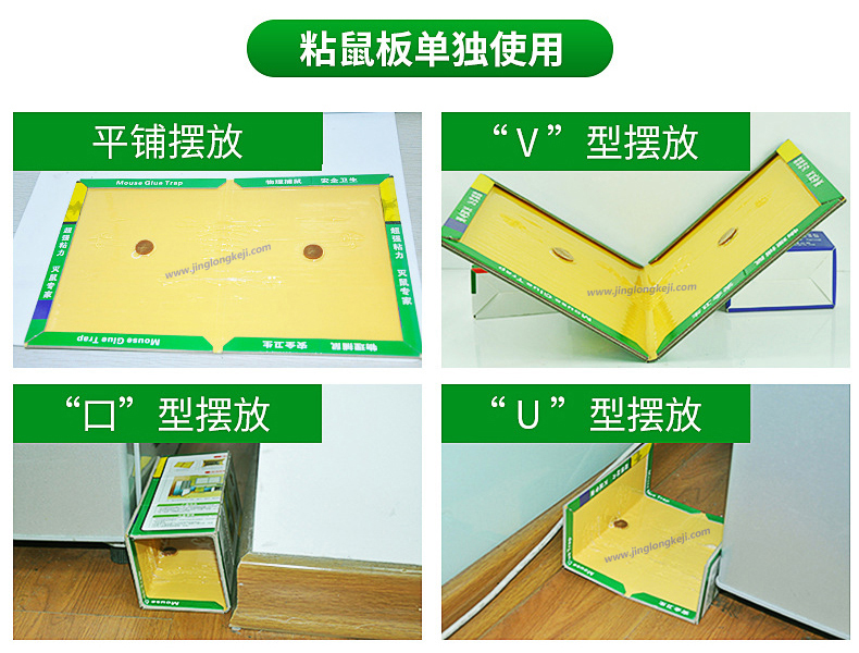粘鼠板怎么擺放才能粘到老鼠